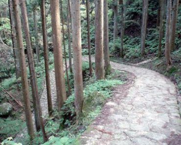 Excursión a Tsumago, Magome y la ruta del Nakasendo