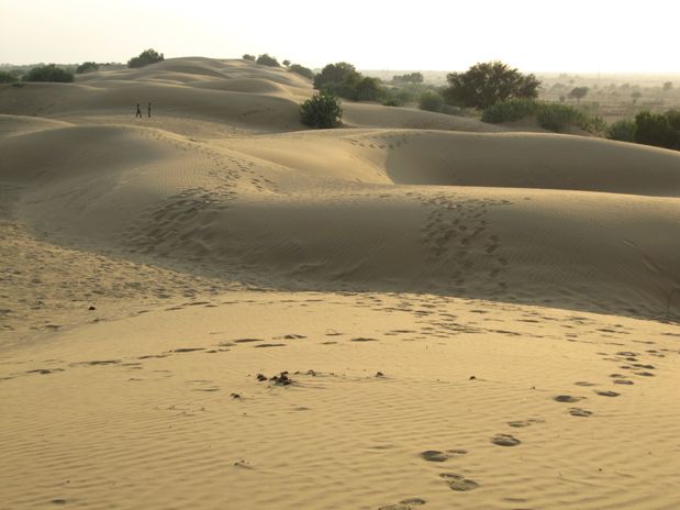 Desierto del Thar, India
