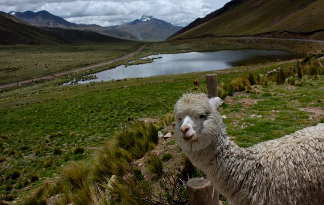 GUIA PERU