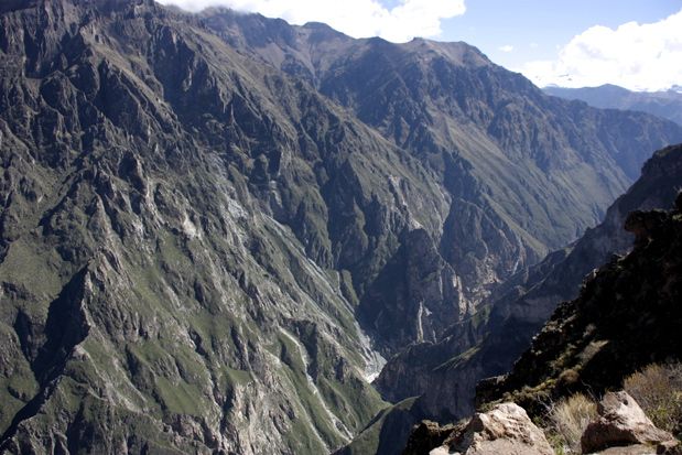 Cruz cóndor, Cañón del Colca
