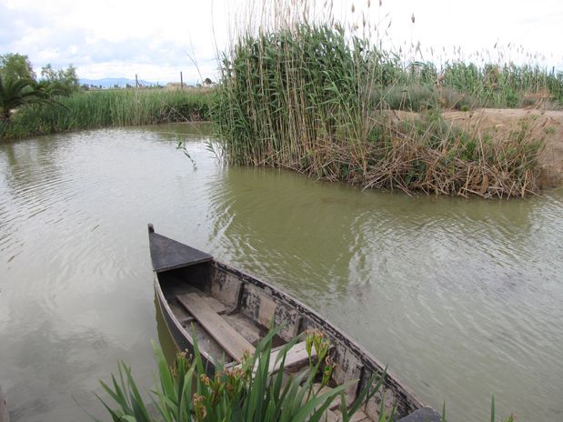 Delta Ebre TBMCatSur