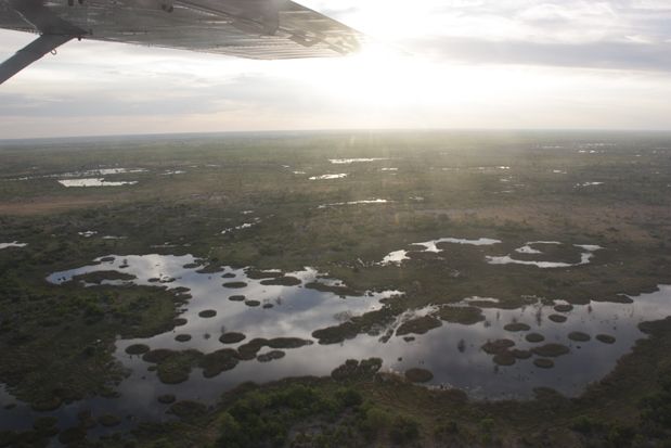 Avioneta Delta Okavango