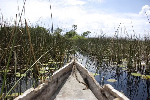 DELTA OKAVANGO MOKORO