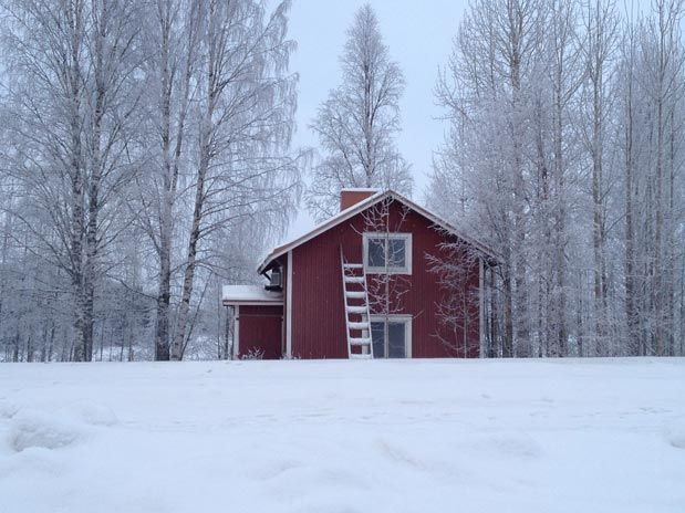 Kuhmo Wild Taiga Finlandia