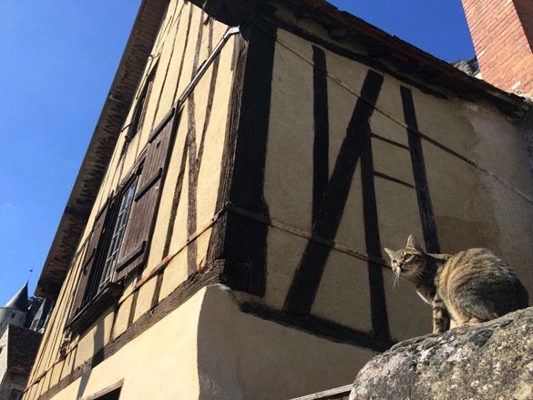 Montresor gato Ruta Loira