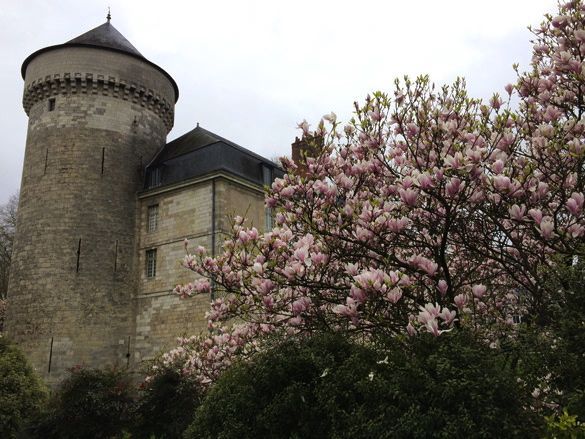 Tours-Castillo-Ruta-Loira