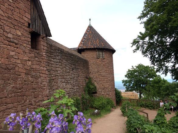 Ruta-Alsacia-Haut-Koenigsbourg
