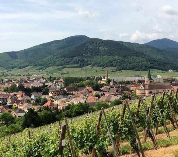 Ruta-Alsacia-Turckheim