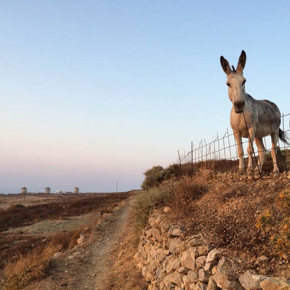 Folegandros-Sendero-Fira