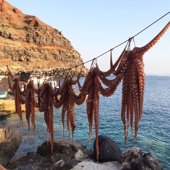 Santorini-Oia-Pulpos