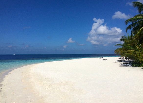 Llegada a Vilamendhoo Island Resort9