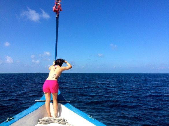 Snorkel con tiburones ballena