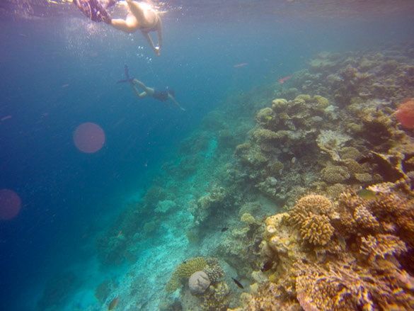 vilamendhoo house reef maldives