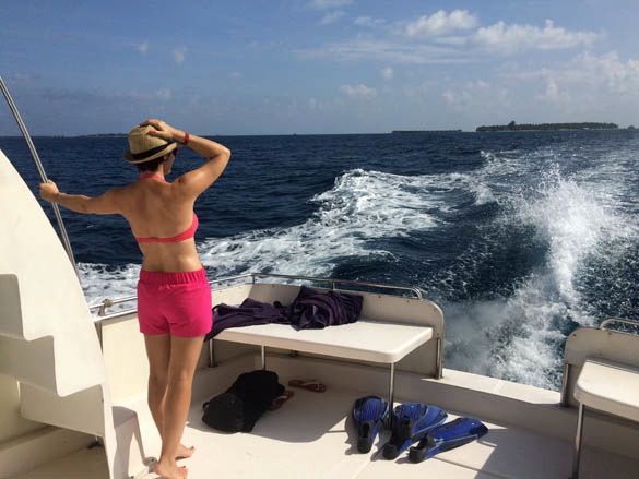 Nadar con mantas raya y tortugas