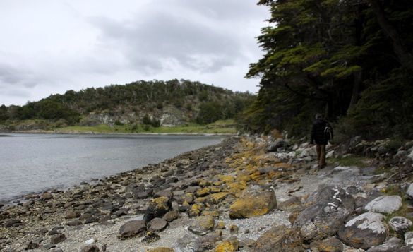 excursion-PN-tierra-del-fuego-ushuaia