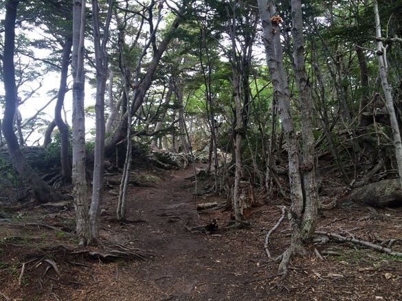 excursion-PN-tierra-del-fuego-ushuaia