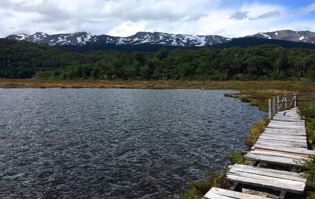 excursion-PN-tierra-del-fuego-ushuaia