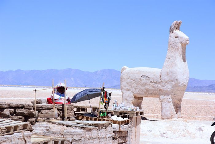 Excursion-salinas-grandes