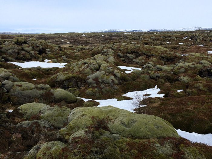 Ruta-costa-sur-Islandia-Eldhraun