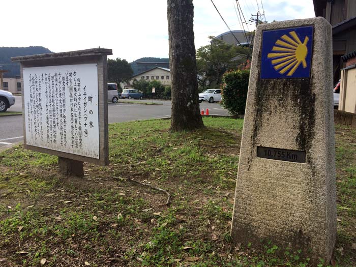 dual-pilgrim-kumano-kodo-camino-santiago