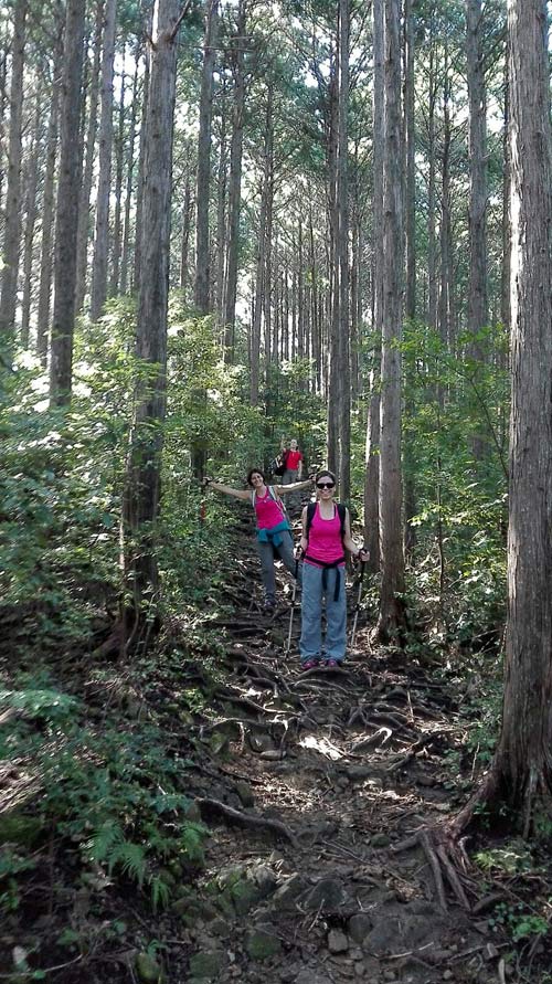 kumano-kodo-etapa-2
