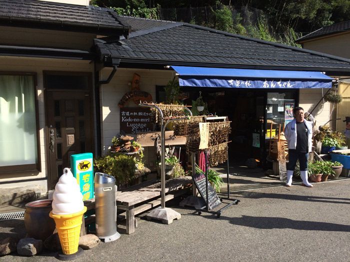 kodo-no-mori-takijiri-kumano-kodo