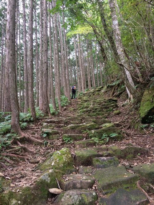kumano-kodo-koguchi-a-nachi-taisha