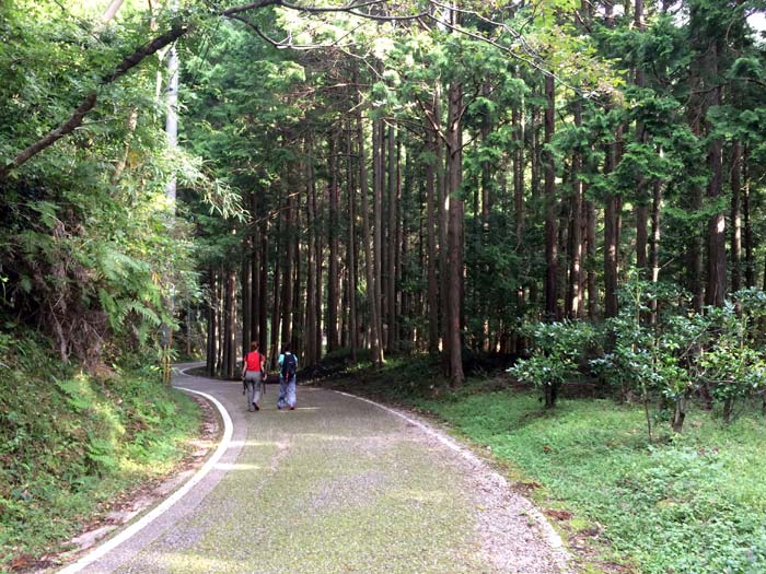 kumano-kodo-nonaka-a-hongu