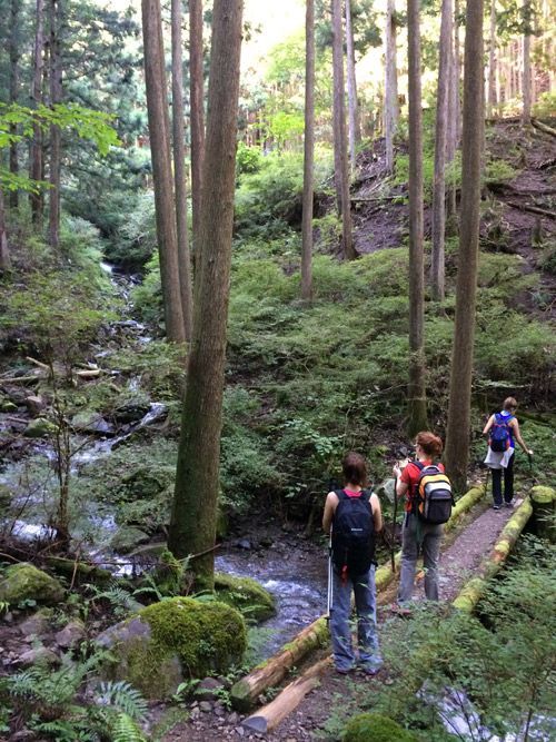 kumano-kodo-takijiri-oji-a-nonaka