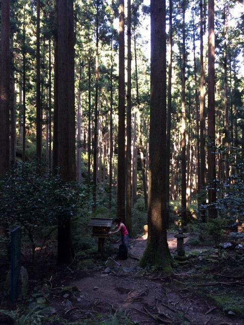 kumano-kodo-takijiri-to-nonaka-2