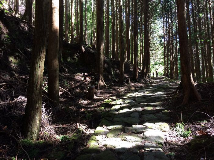 kumano-kodo-takijiri-to-nonaka