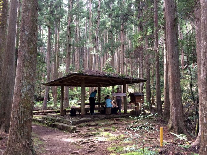 kumano-kodo-ukegawa-to-koguchi