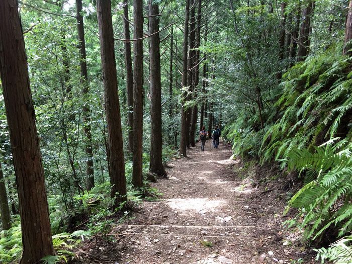 kumano-kodo-ukegawa-to-koguchi
