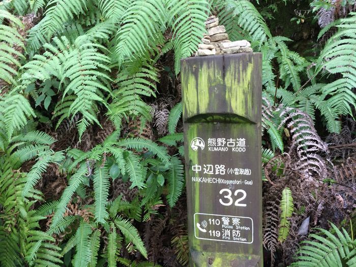 kumano-kodo-punto-camino