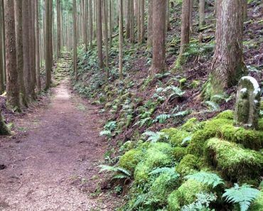 Guía del Kumano Kodo: una semana por los caminos sagrados de Japón