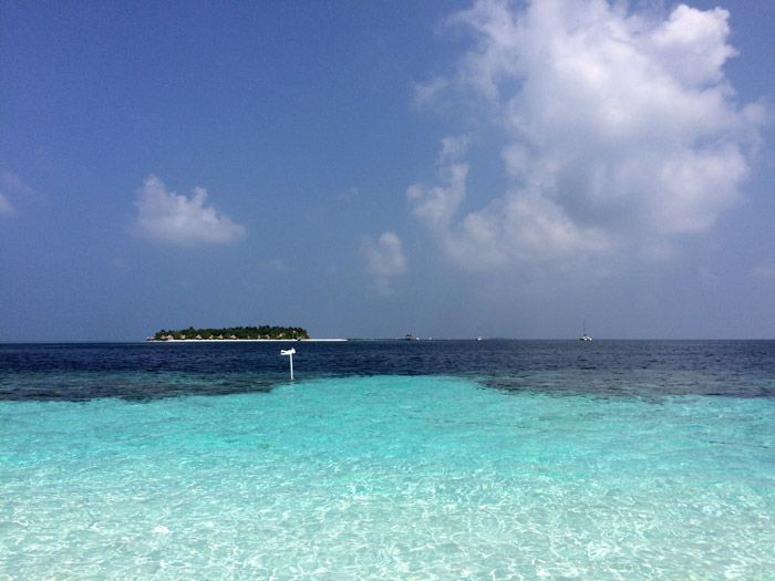 Angsana Ihuru Maldivas Snorkel