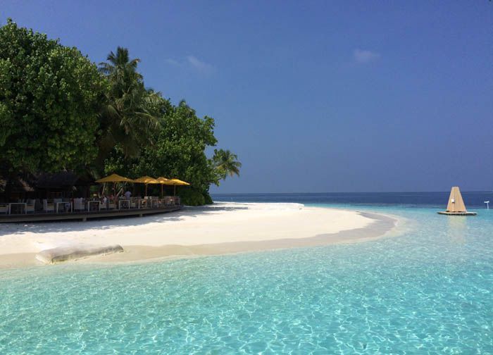 Angsana Ihuru Maldivas beach
