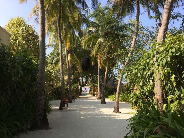 Banyan Tree Vabbinfaru resort