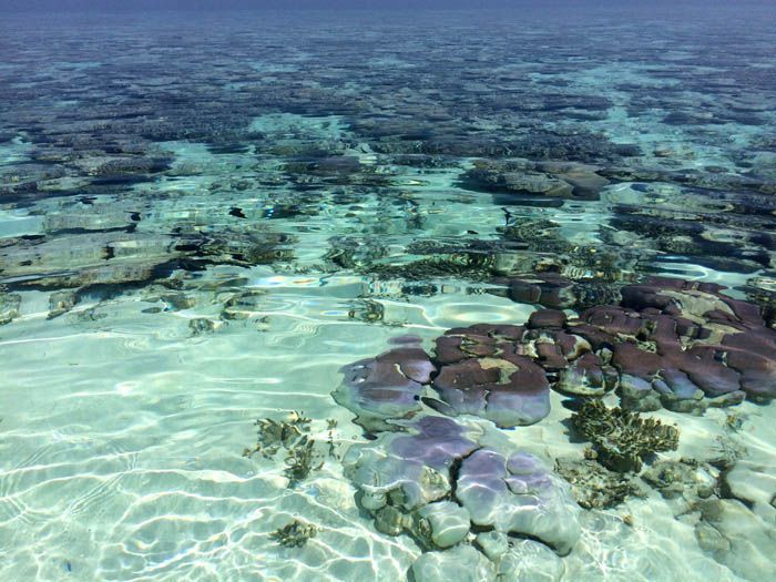 castaway-island-maldives