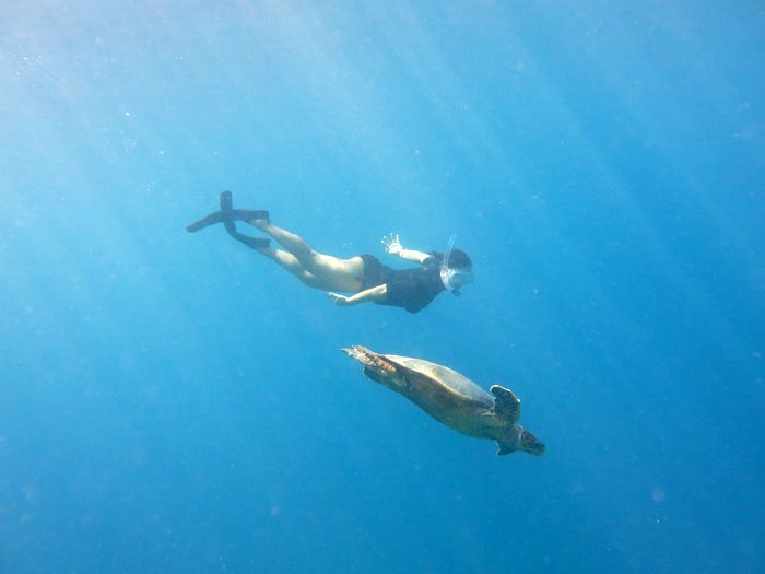 Snorkel tourgas Coco Bodu Hithi