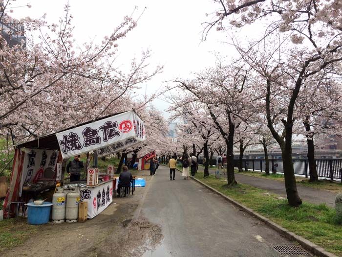 Hanami Okawa Osaka