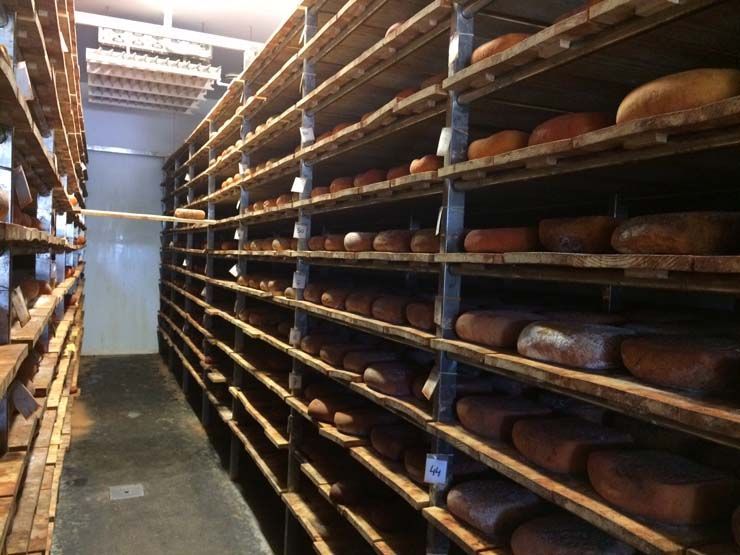 Son Mercer de Baix queso