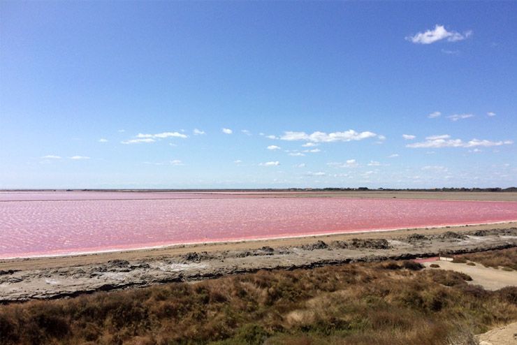 Salinas de Camarga