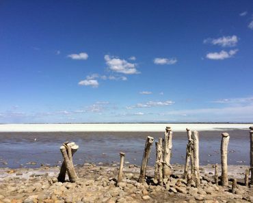 Excursión a la reserva natural de la Camarga desde Arlés