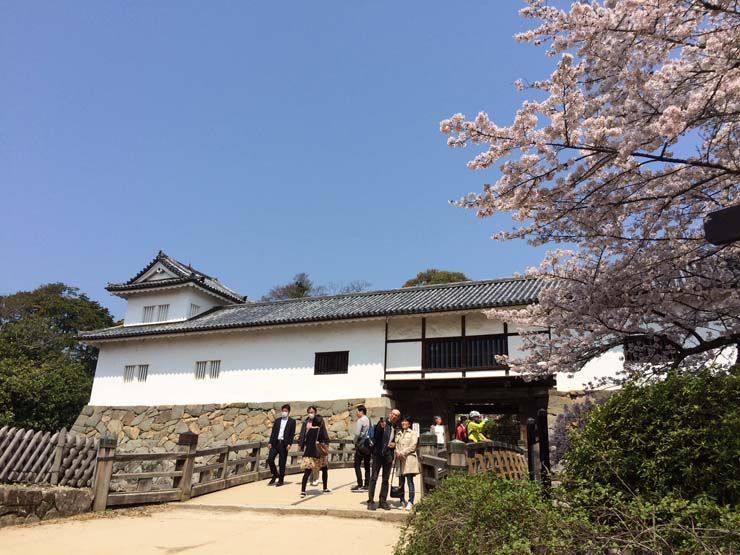 Castillo Hikone Japon entrada