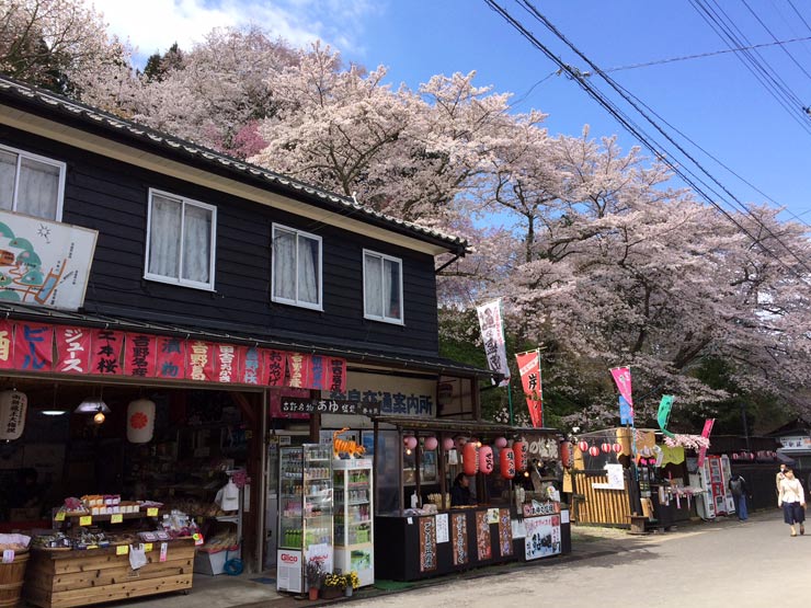 Hanami en Yoshinoyama Japon Excursion-Yoshino-Yama-1
