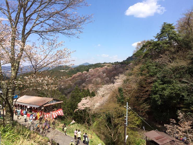 Excursion-Yoshino-Yama-2