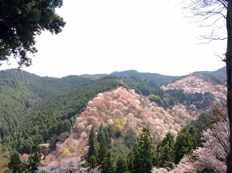Excursion-Yoshino-Yama