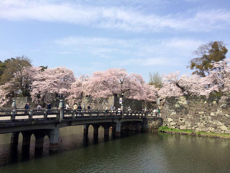 Puente-acceso-castillo-Hikone