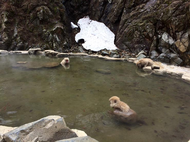 Mono-Onsen-Jigokudani